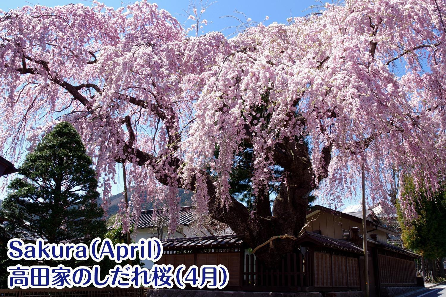 Nikko Stay House Arai - Vacation Stay 14988V 외부 사진